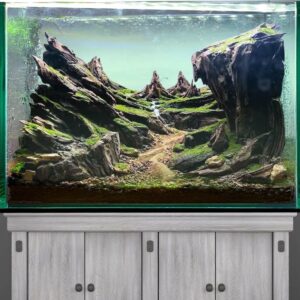 https://bonsaiaquariumtree.store/wp-content/uploads/2024/03/Aquarium-Aquascaping-Ideas-Rock-Fish-Tank-Decor-Hardscape-3-300x300.jpg