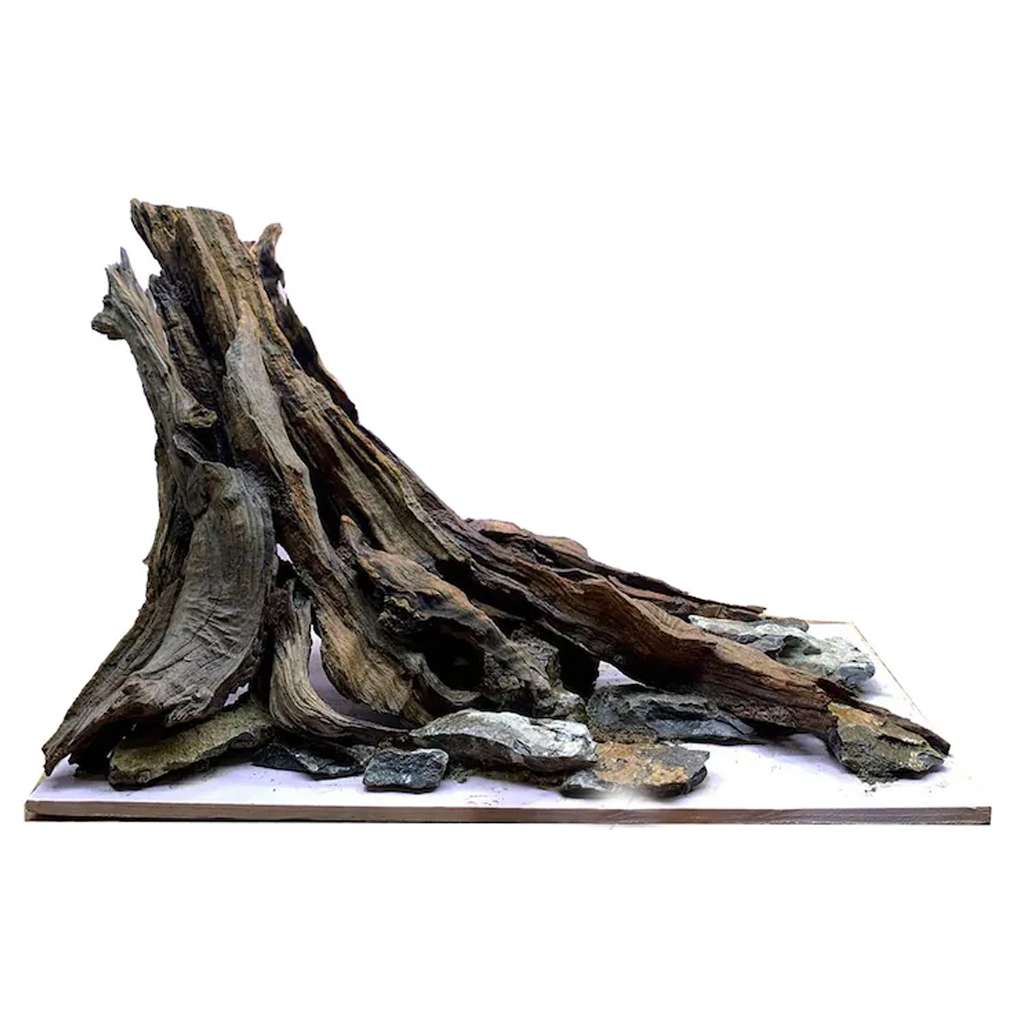 Aquarium Wood Stump Tree Driftwood Fish Tank Ideas 1