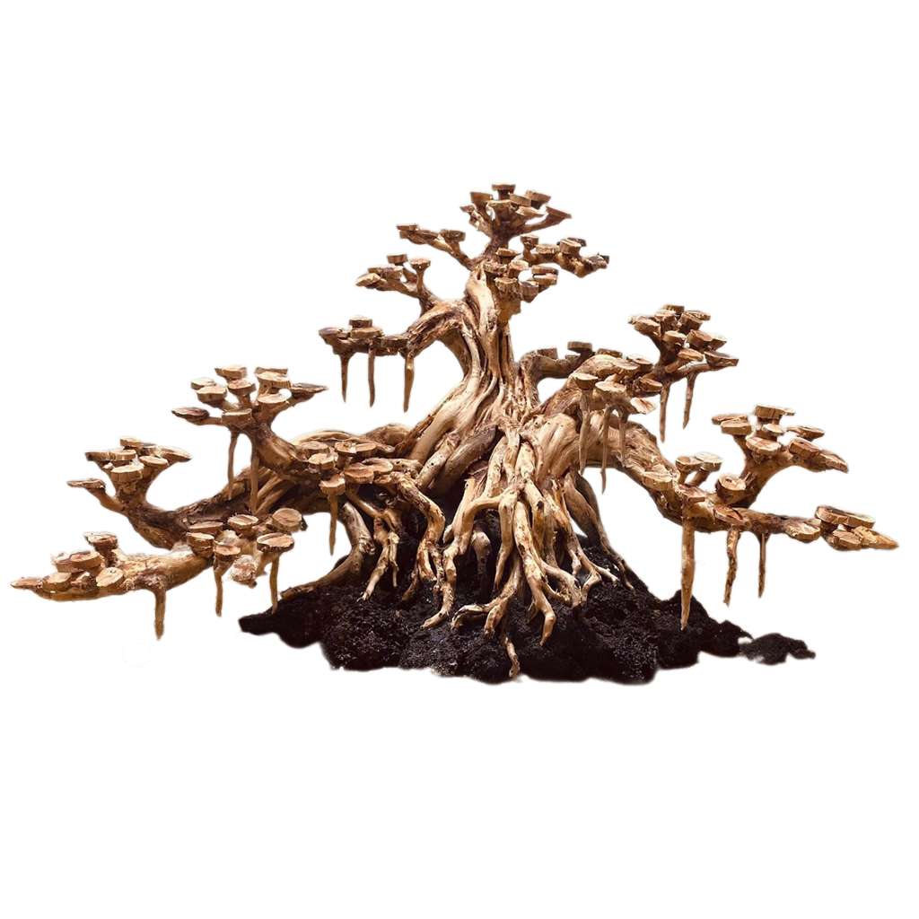 Bonsai Aquarium Wood Decor Driftwood For Aquarium 1