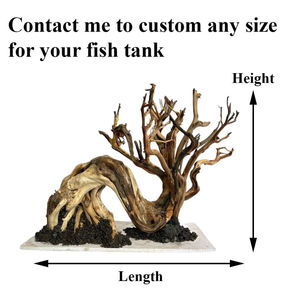 Bonsai Tree Driftwood Aquarium Decorations Ideas For Fish Tank 2