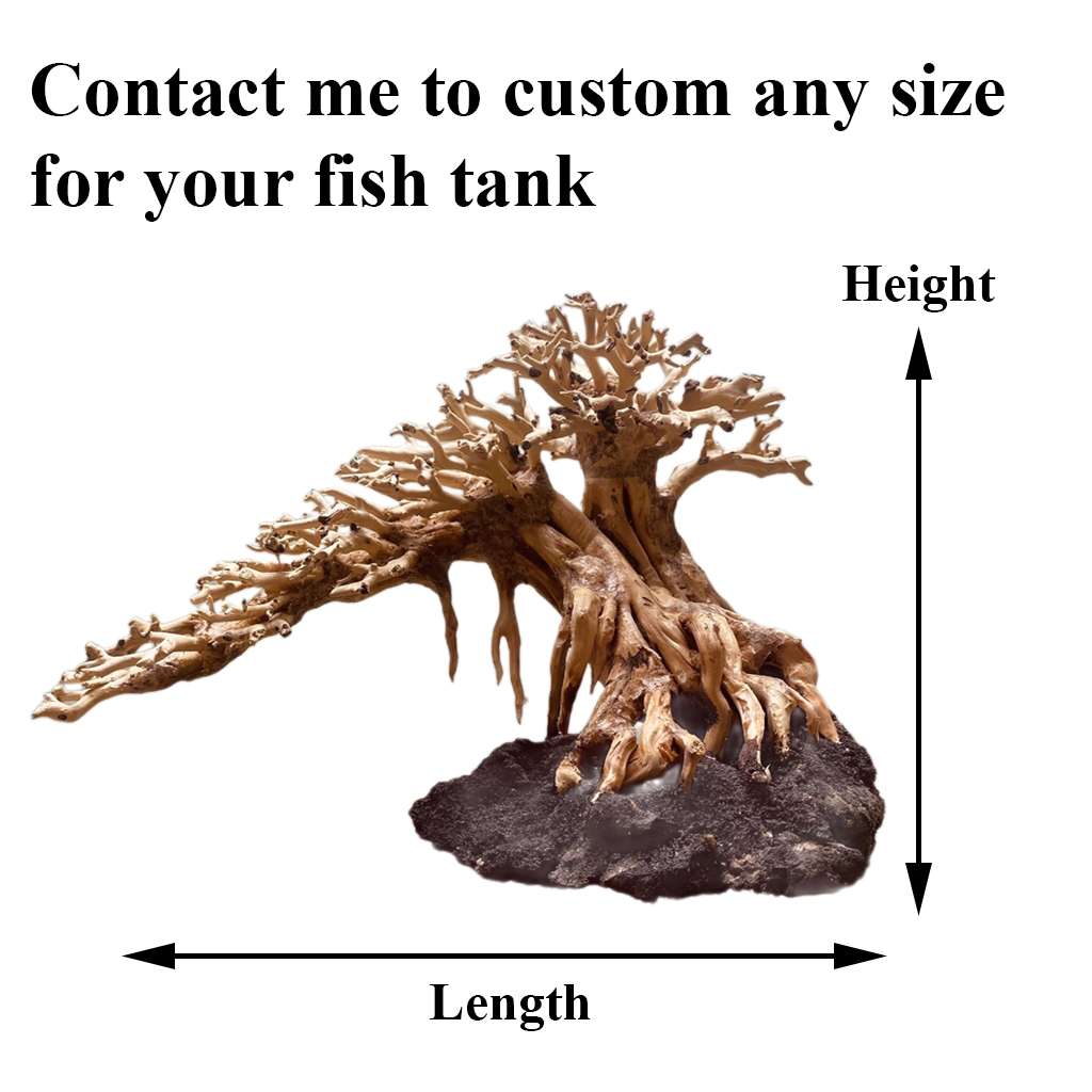 Bonsai Tree Driftwood Fish Aquarium Decor Ideas 2