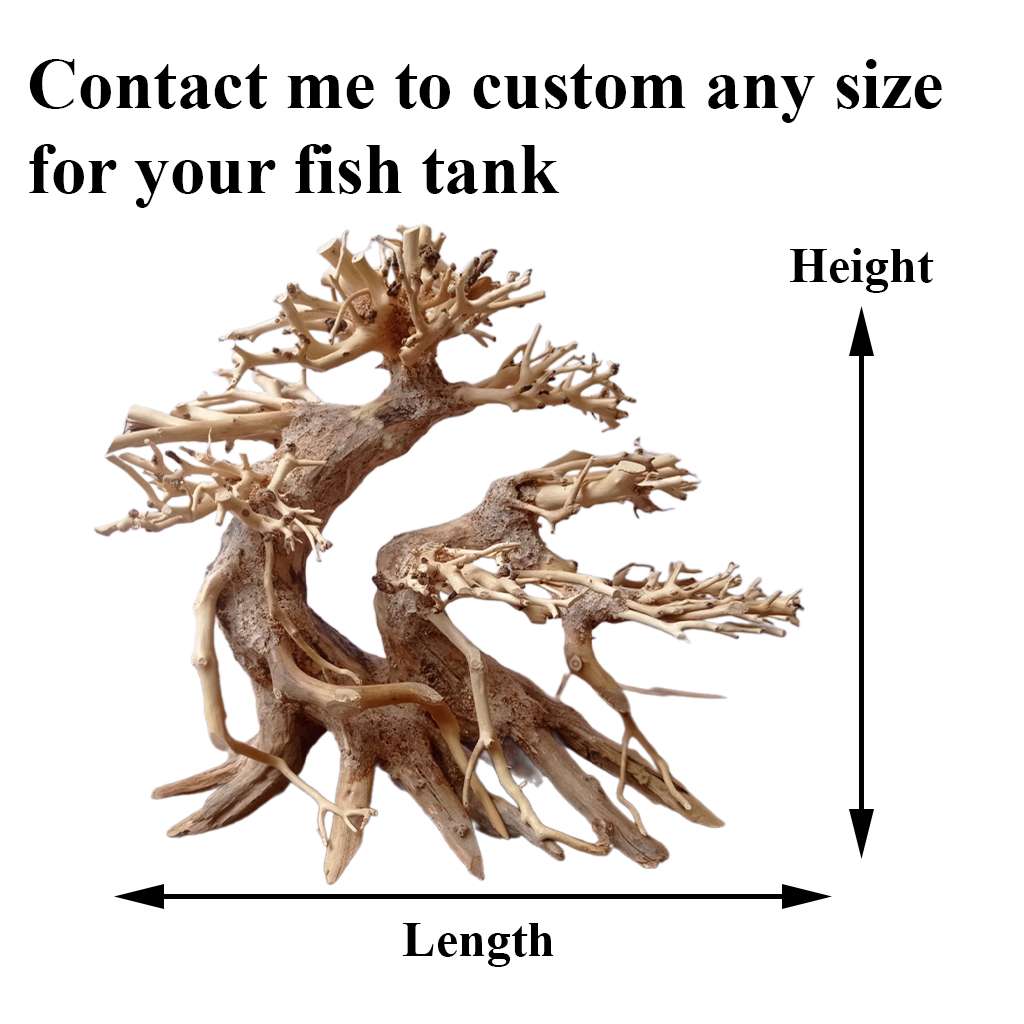 Bonsai Tree In Aquarium Driftwood Fish Tank Ideas Decorating 2