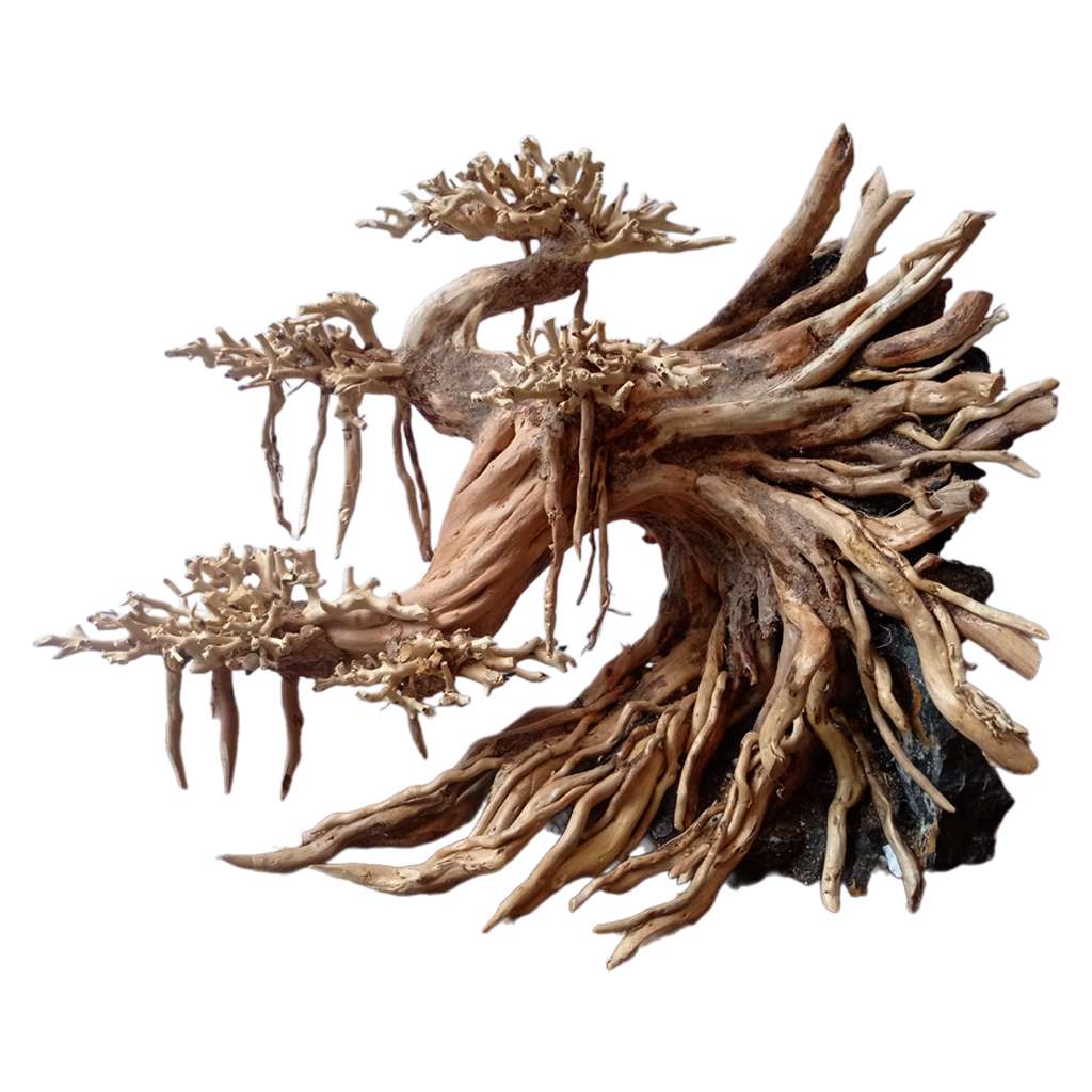 Cheap Aquarium Decor Bonsai Aquarium Tree Driftwood 1