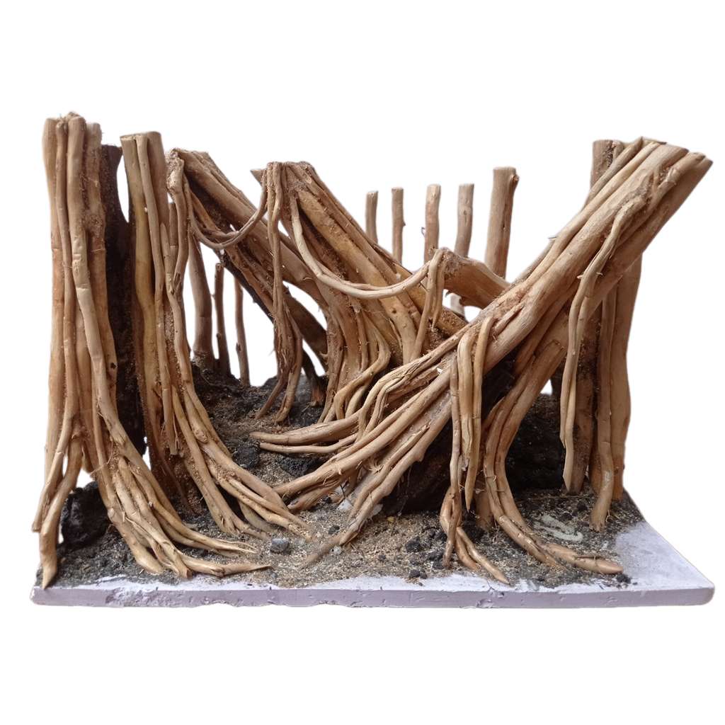 Drift Wood Aquarium Aquascape Driftwood Ideas For Fish Tank Decor 1