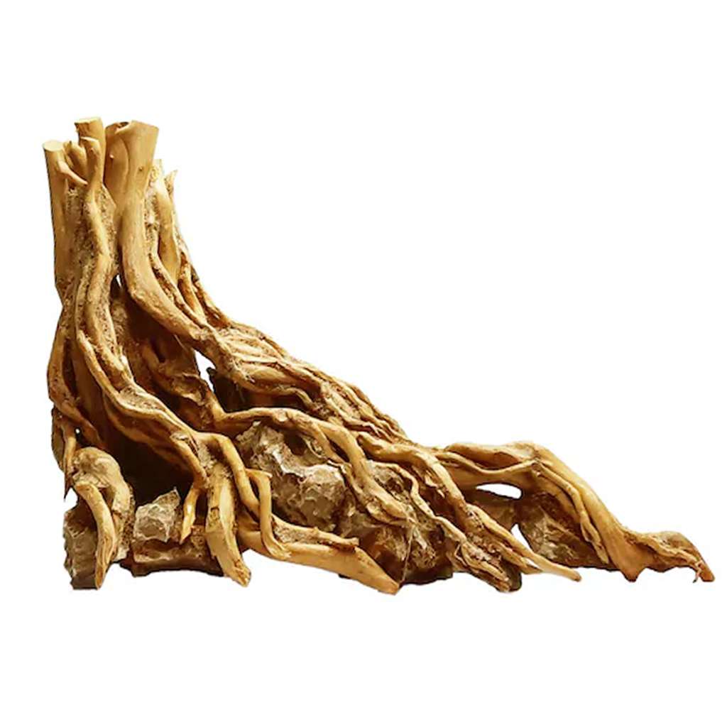 Driftwood Aquarium Tree Stump Decoration Ideas For Fish Tank 1