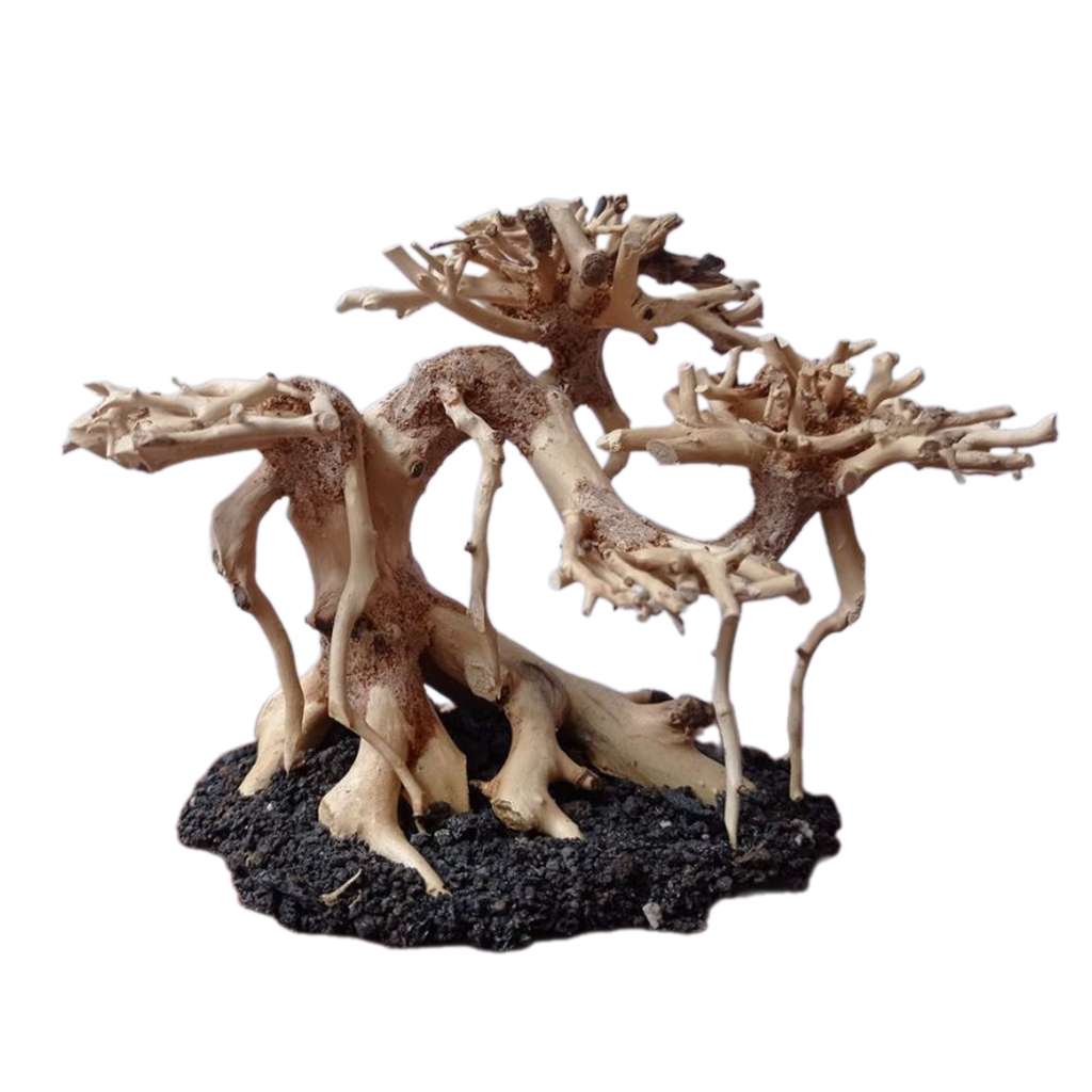 Driftwood Bonsai Tree Aquarium Natural Fish Tank Decor 1