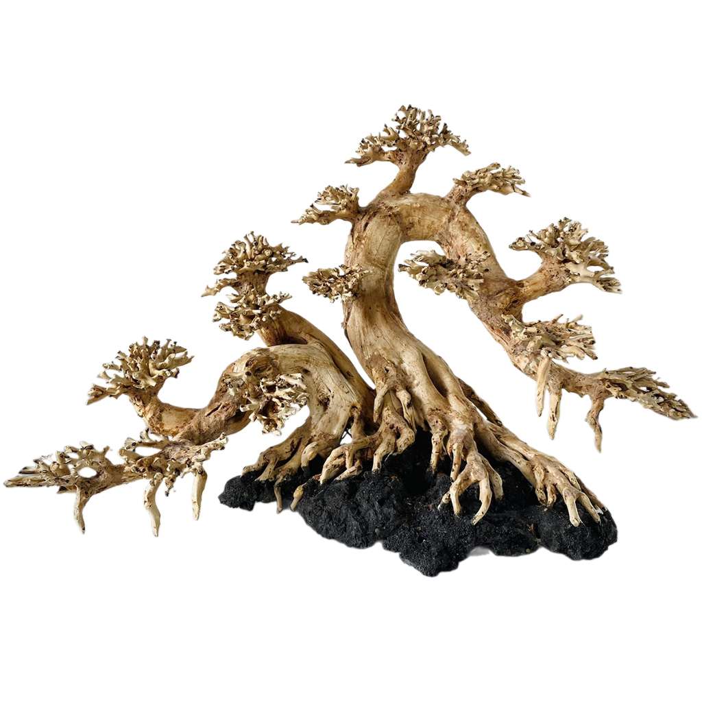 Driftwood Bonsai Trees For Aquariums Fish Aquarium Decor Ideas 1