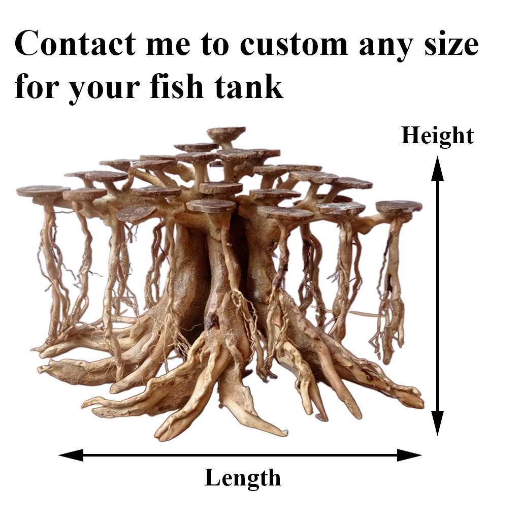 Driftwood For Aquariums Bonsai For Fish Tank Ideas 2