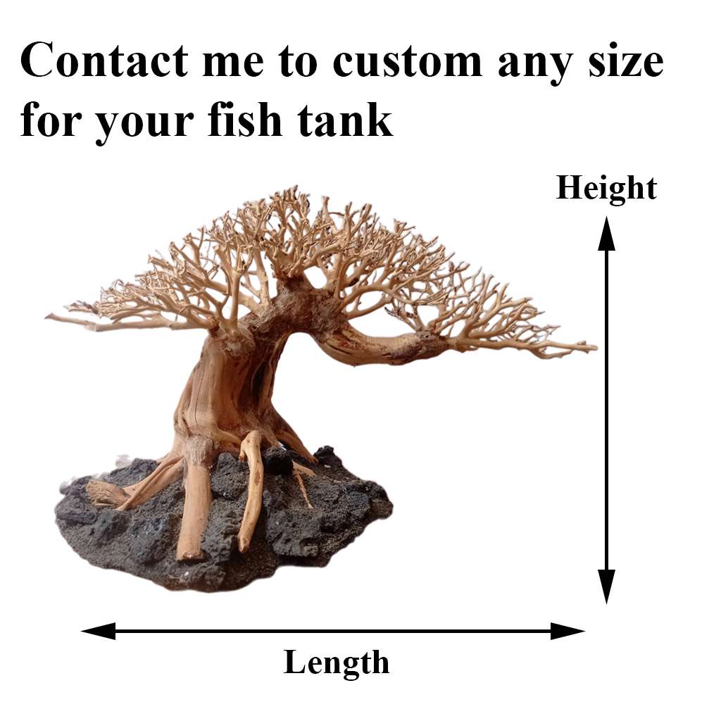 Fish Tank Decorations Ideas Driftwood For Aquariums Bonsai Trees 2