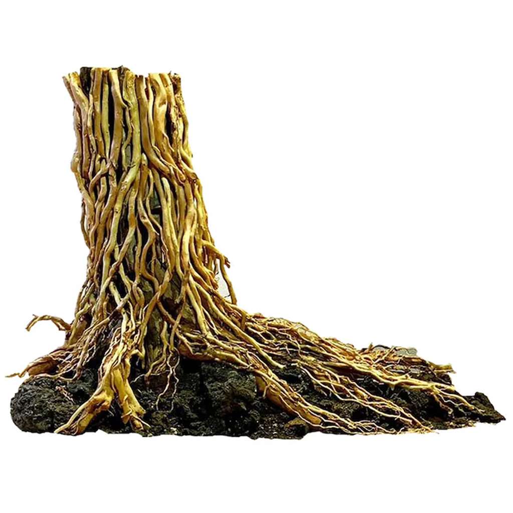 Tree Stump With Roots Driftwood Ideas For Aquarium 1