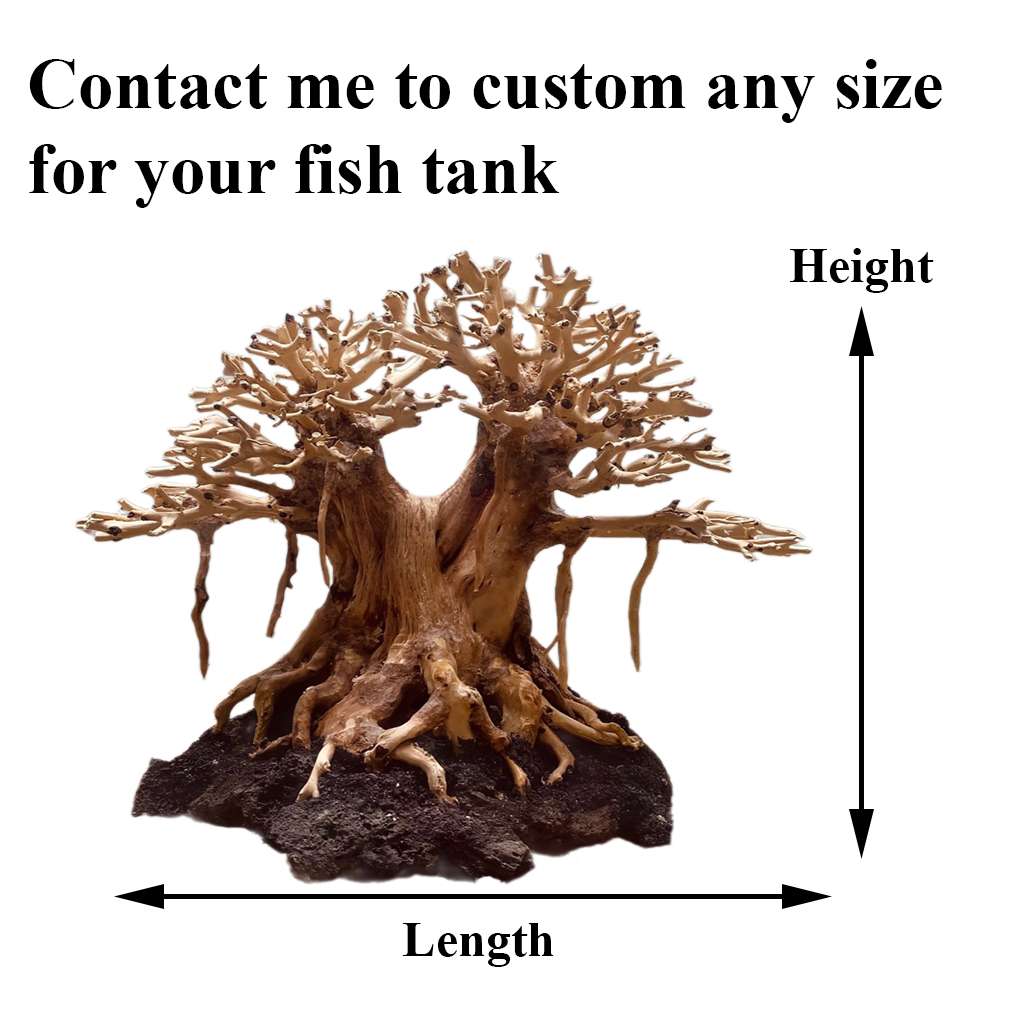 Unique Aquarium Decor Driftwood Bonsai Tree For Fish Tank 2